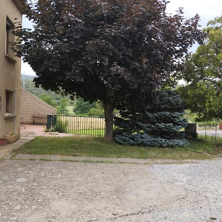 Maison Du Verdouble Rouffiac-des-Corbières Exteriér fotografie